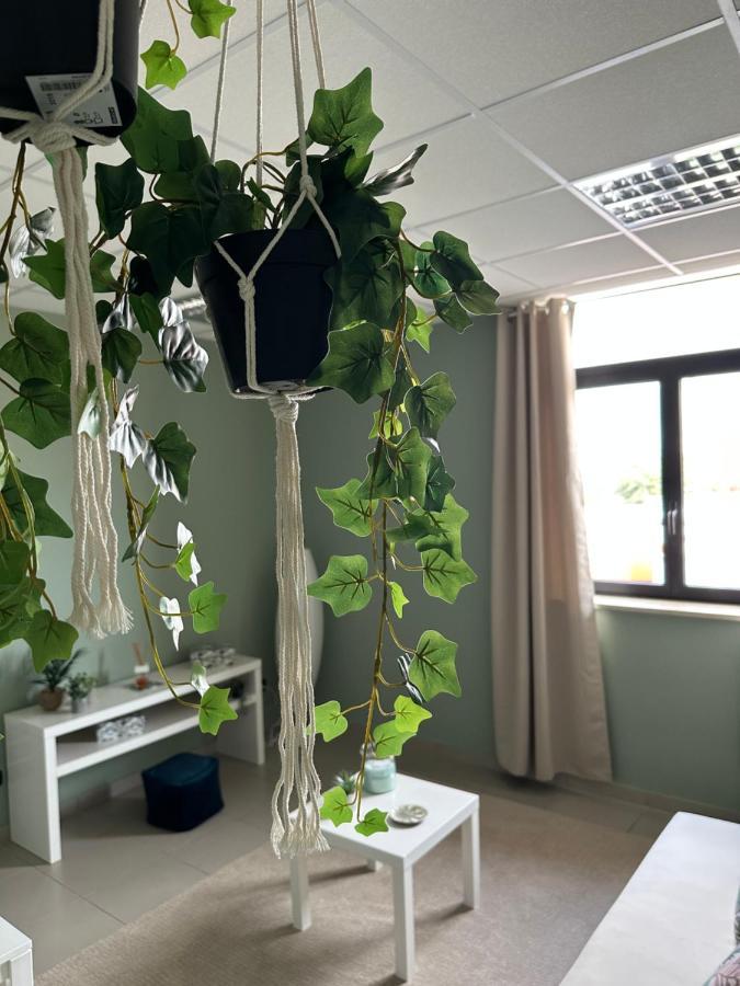 Botanical Suite Bari Bagian luar foto